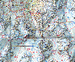 link to animated routes